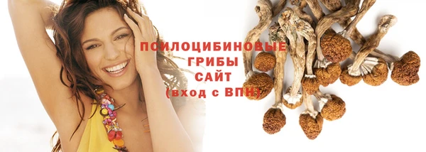 хмурый Богородск