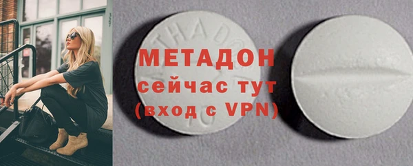 прущие грибы Богданович