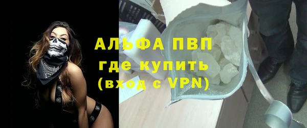 прущие грибы Богданович