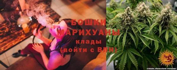 прущие грибы Богданович